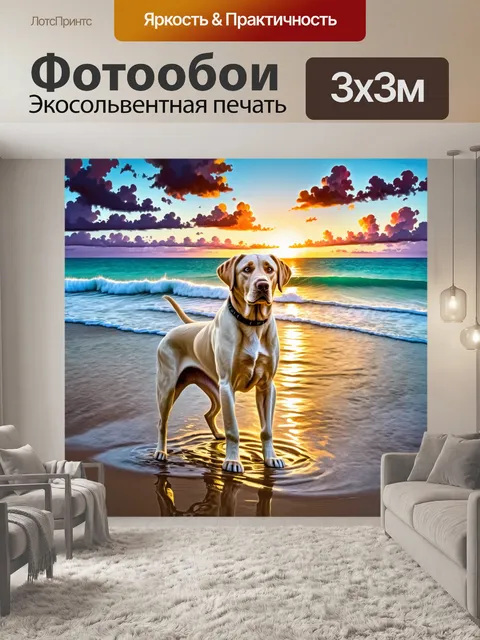 Фотообои лабрадор, стоящий у берегов океана, с легкими волнами, касающимися его лап, и ярким небом с облаками на закате