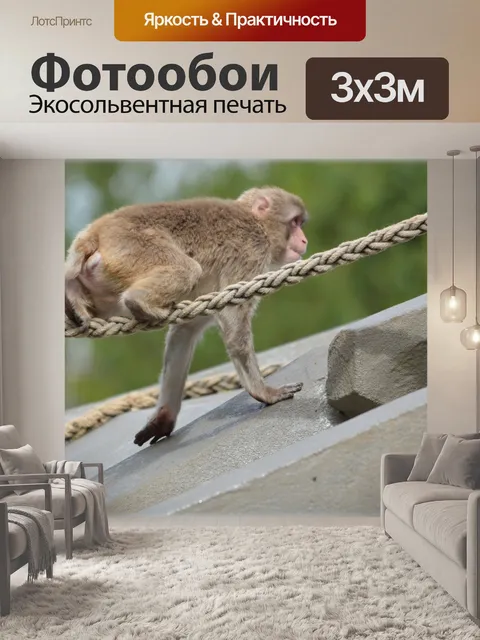 Фотообои Веревка обезьяны 1