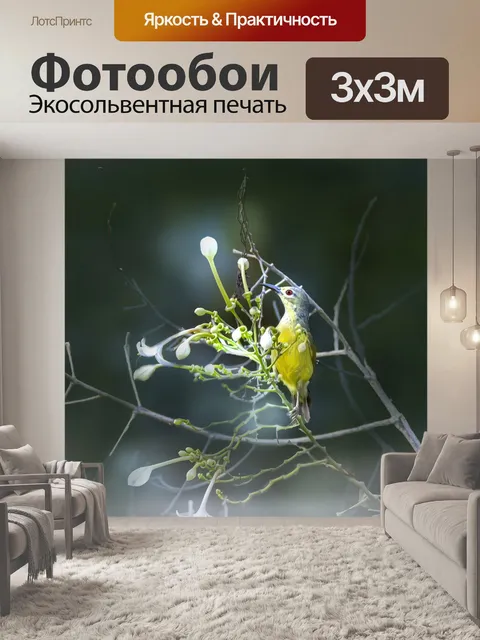 Фотообои Яркий цвет