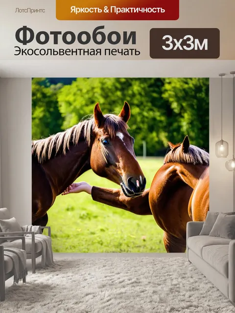 Фотообои лошадь, дружелюбно трогая своего другого друга