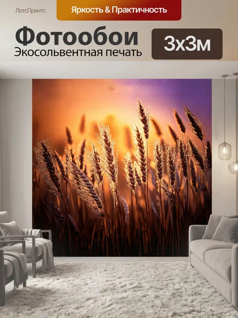 Фотообои тростниковые заросли, освещенные первыми лучами солнца, создают атмосферу уединения и покоя