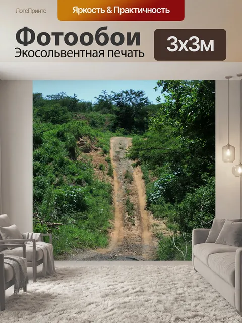 Фотообои Тропа в thula thula заповедника