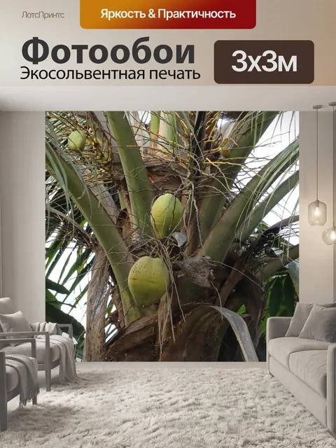 Фотообои Керала