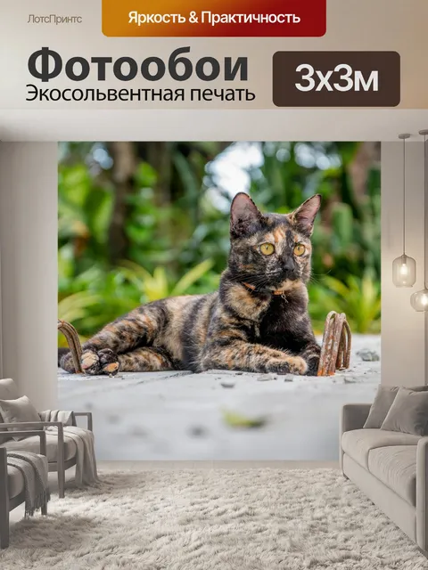 Фотообои Кот