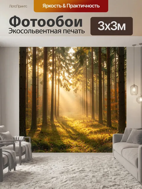 Фотообои Солнечный хвойный лес в тумане