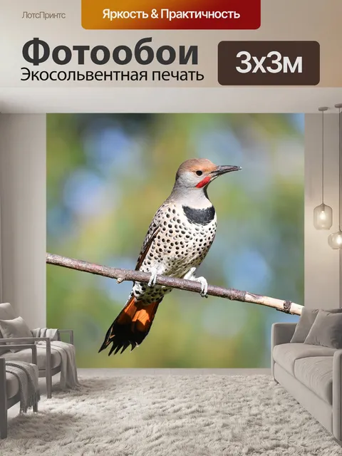 Фотообои Мерцание