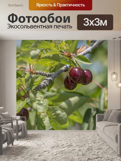 Фотообои Фрукты