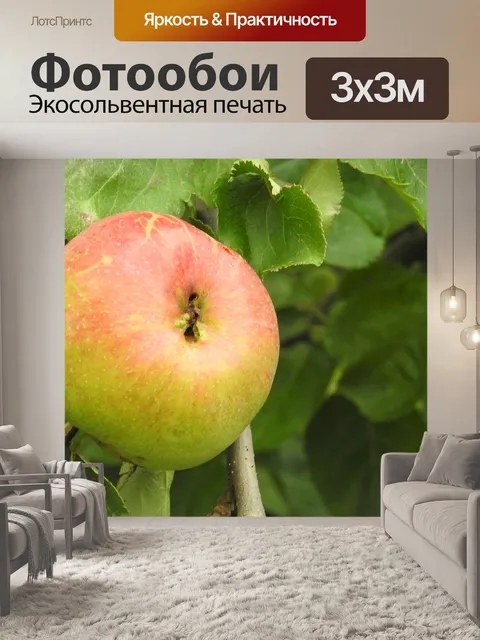 Фотообои Яблоко