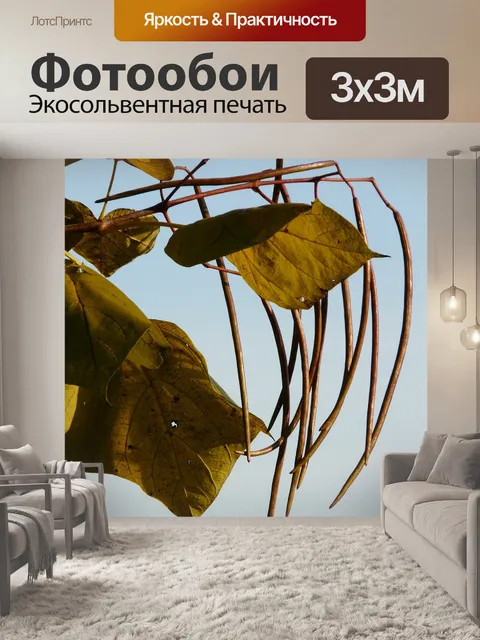 Фотообои Труба
