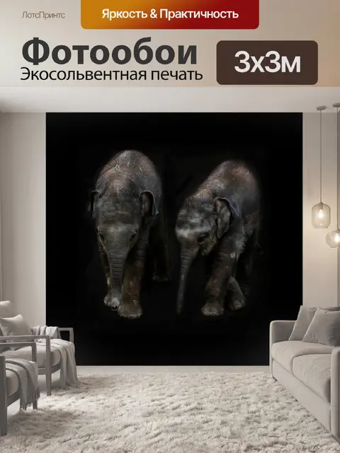 Фотообои Слоны