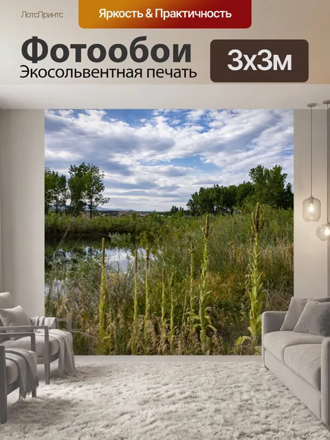 Фотообои Колорадский пейзаж