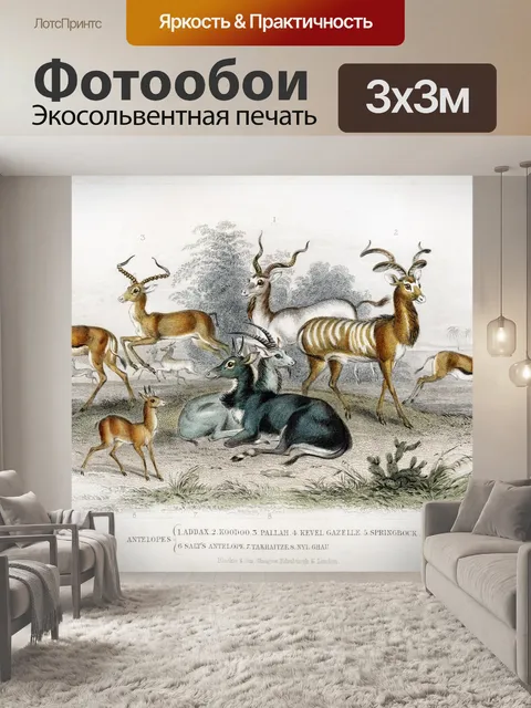 Фотообои Млекопитающие антилопы винтаж старый