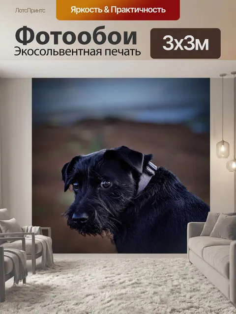 Фотообои Городок паттердейл терьер