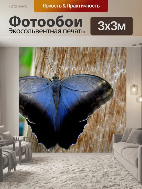 Фотообои Кремовая сова