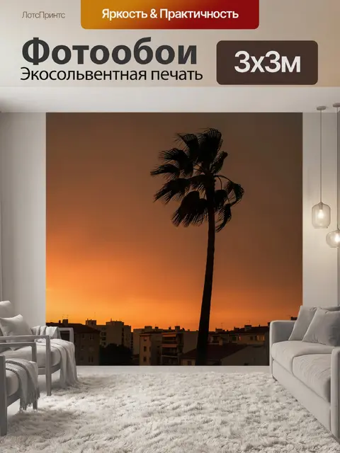 Фотообои Пальма на фоне заката