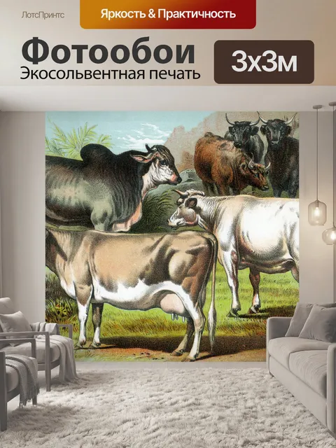 Фотообои Корова бык бык Винтаж
