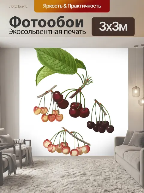 Фотообои Фрукты Вишни Винтаж Клипарт