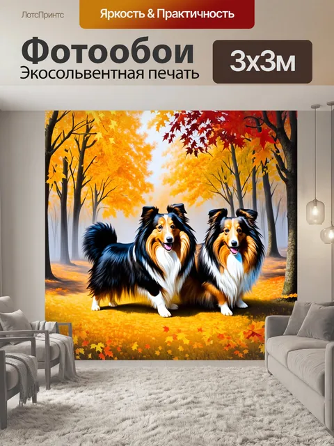 Фотообои два шелти в акриле, играющие на осеннем пейзаже среди желтых и красных листьев, деревья окутаны легким туманом