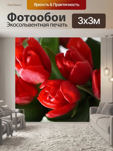 Фотообои Красные тюльпаны