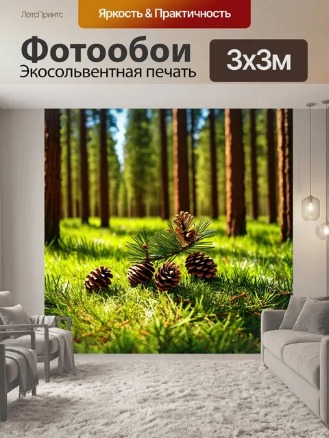 Фотообои сосновый лес с шишками и хвойным ароматом, мягкие тени на траве