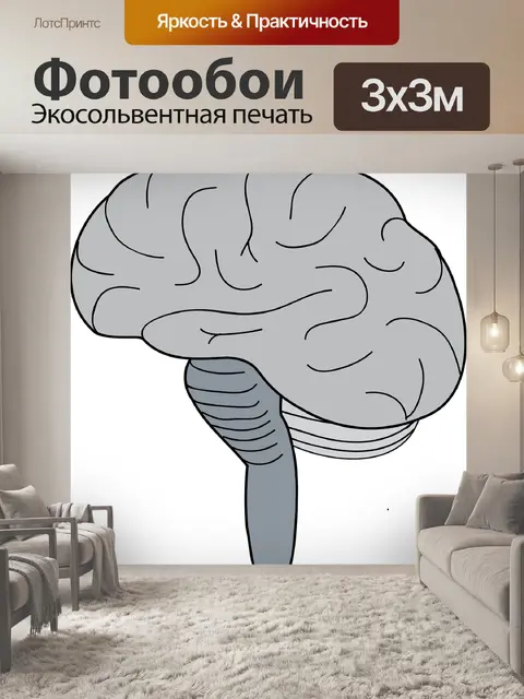 Фотообои Головной мозг