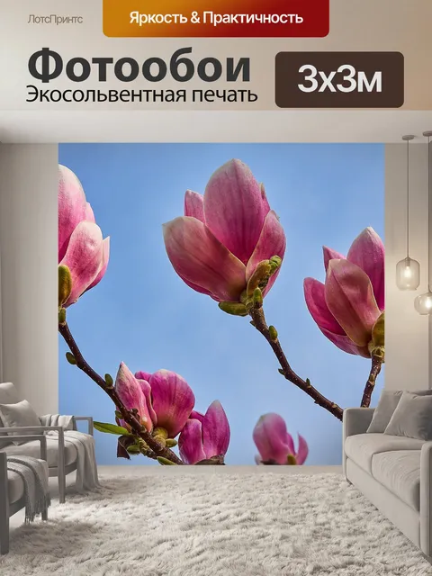 Фотообои Тюльпан магнолия