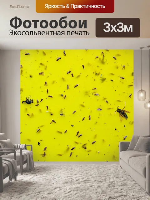 Фотообои Насекомые