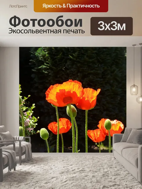 Фотообои Маки