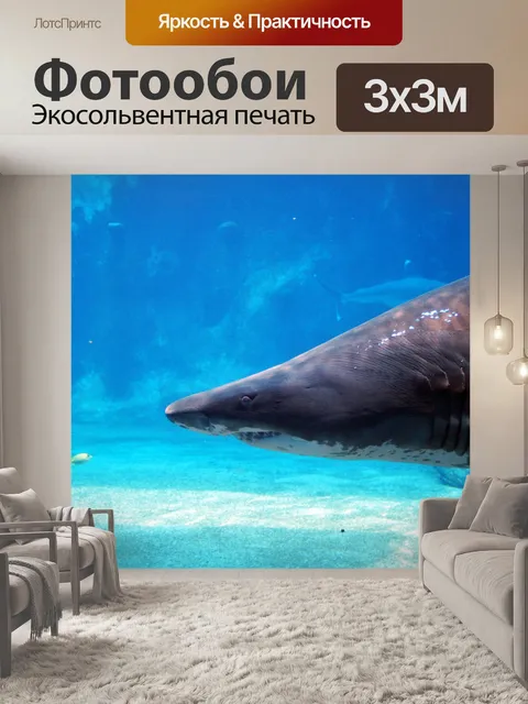 Фотообои рваный зуб акулы перед крошечной рыбы