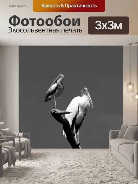 Фотообои Тропические птицы