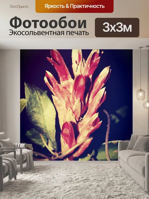 Фотообои Красивый цветок