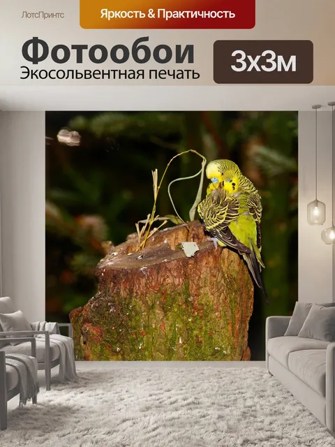 Фотообои Птица