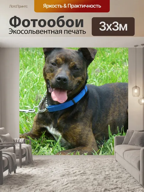 Фотообои Яма бык