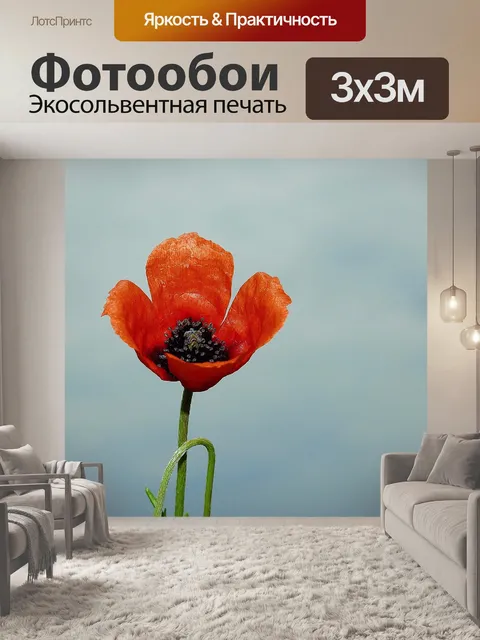 Фотообои Цветок мака