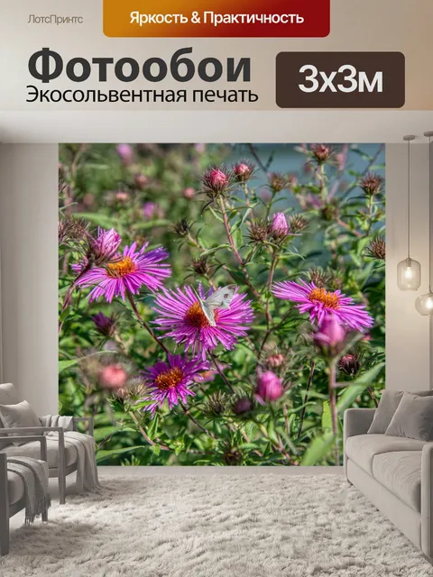Фотообои Астра