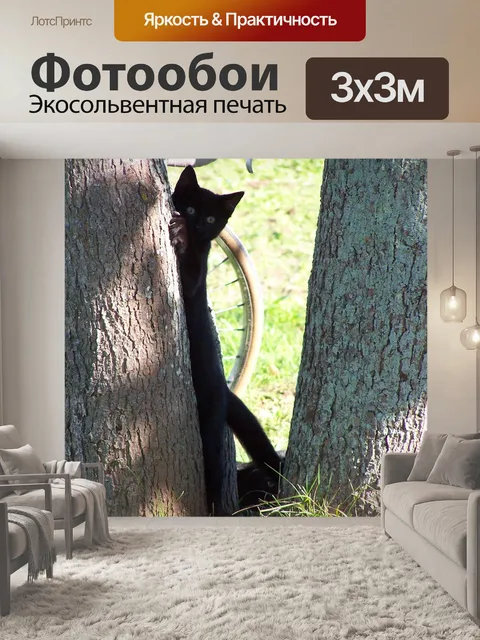 Фотообои Kitty Cat