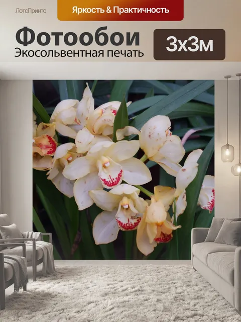 Фотообои орхидеи