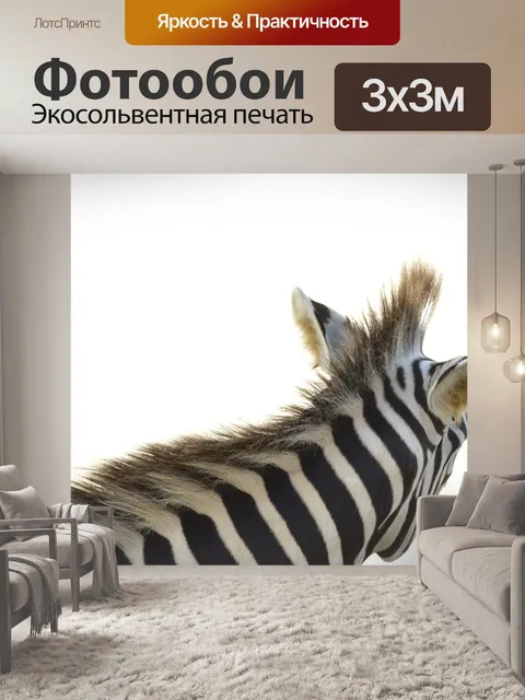 Фотообои Zebra
