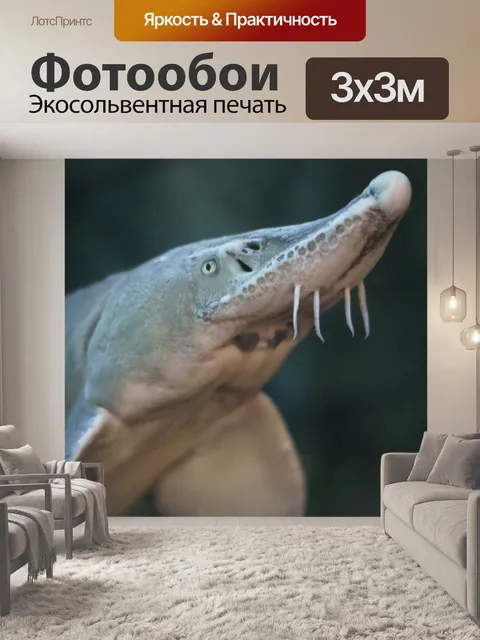 Фотообои Рыбы
