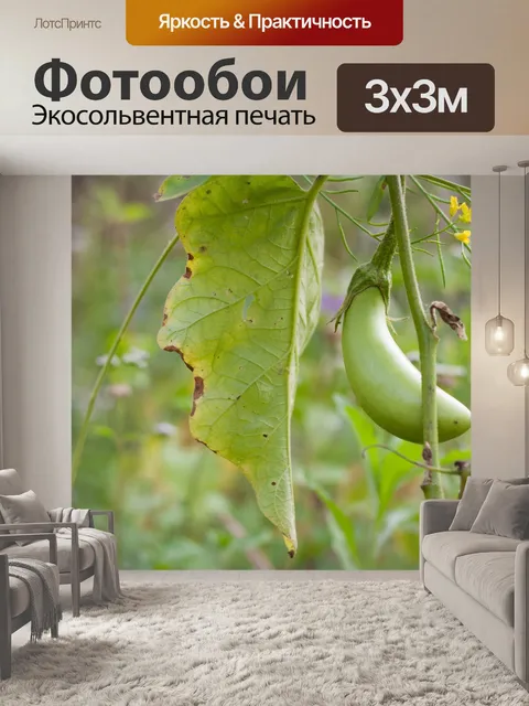 Фотообои Фрукты