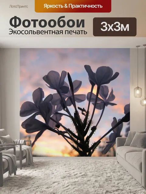 Фотообои графит цветы на фоне заката