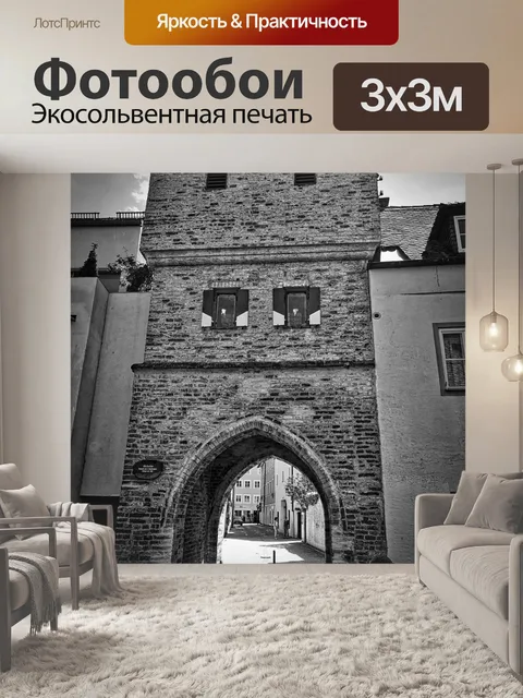 Фотообои Вход