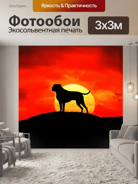 Фотообои на фоне великолепного заката африканский бурбуль