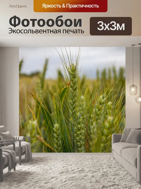Фотообои Золотое пшеничное поле и солнечный день