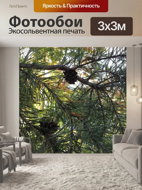 Фотообои Сосновые шишки