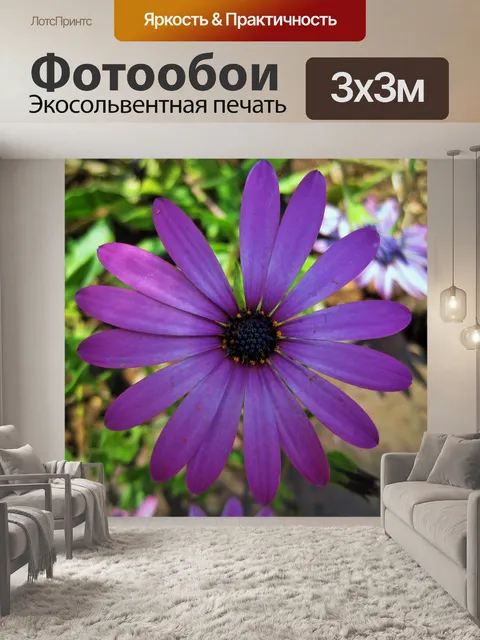 Фотообои розовый цветок ромашка