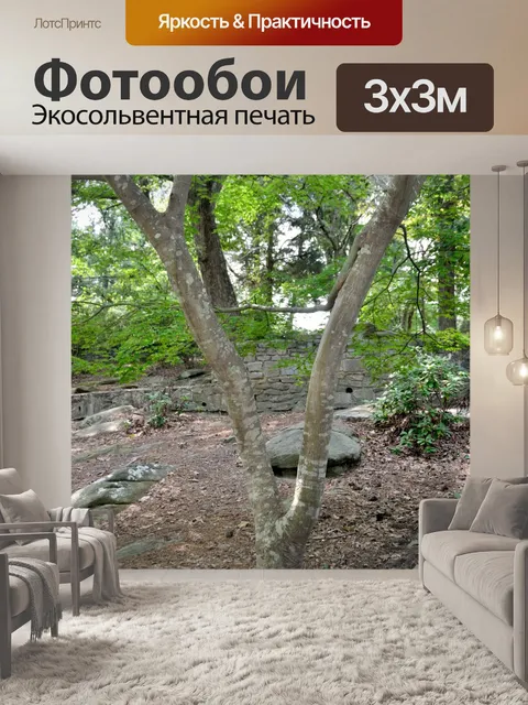 Фотообои Фотографии, которые выглядят как буквы