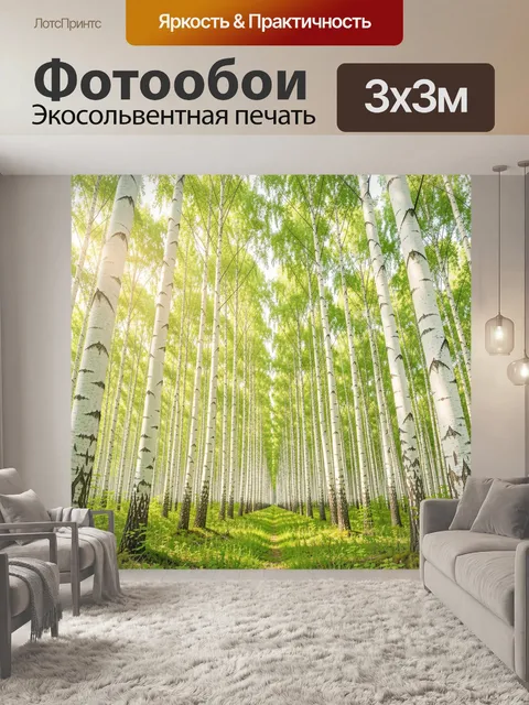 Фотообои Солнечный березовый лес