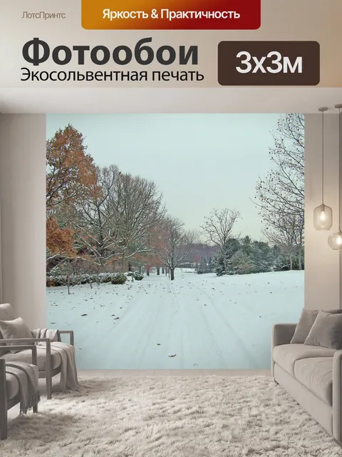 Фотообои Шины трека в снегу
