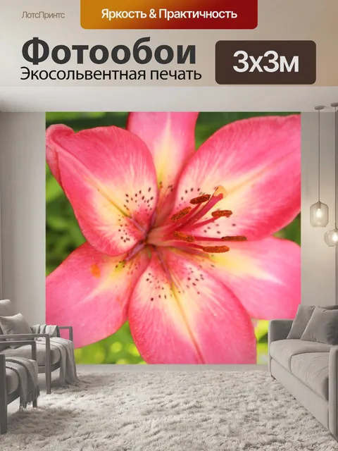 Фотообои Star Gazer Lily Красный Розовый